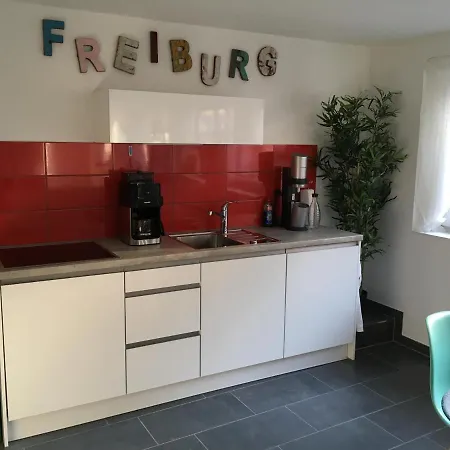 公寓 Bobbele Zentrum 弗赖堡