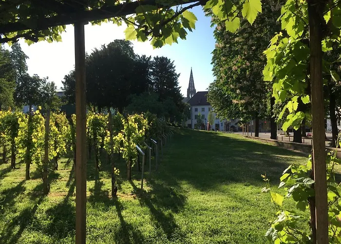 Bobbele Zentrum * Freiburg im Breisgau